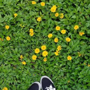 Meet your Posher, Kailee